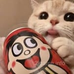 ایشان کیویسی