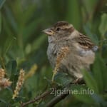 Avatar of Nadeem Shah